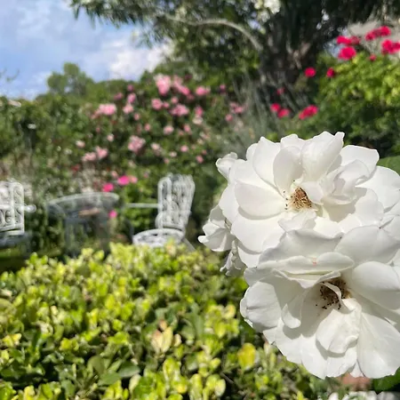 Tina Country Akharavi