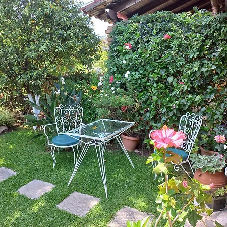 Tina Country Acharavi (Corfu)