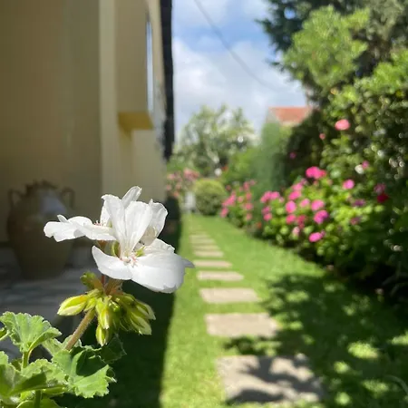 Tina Country * Acharavi (Corfu)