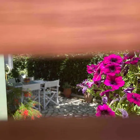Tina Country Apartment Acharavi (Corfu)