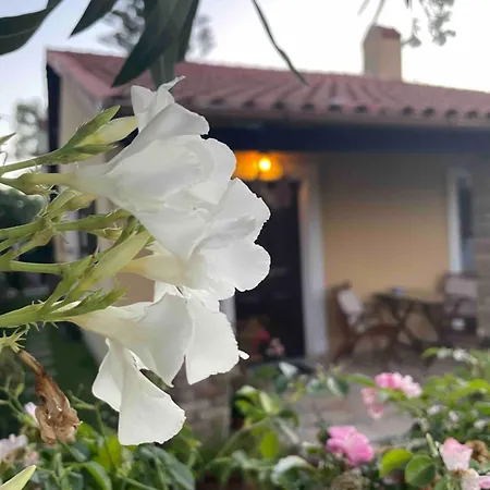 Διαμέρισμα Tina Country